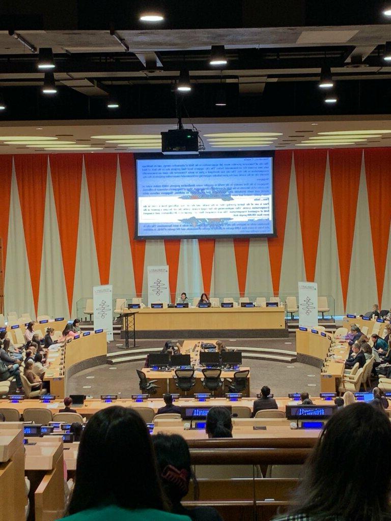 International Day of Women 和 Girls in 科学 Assembly at the UN